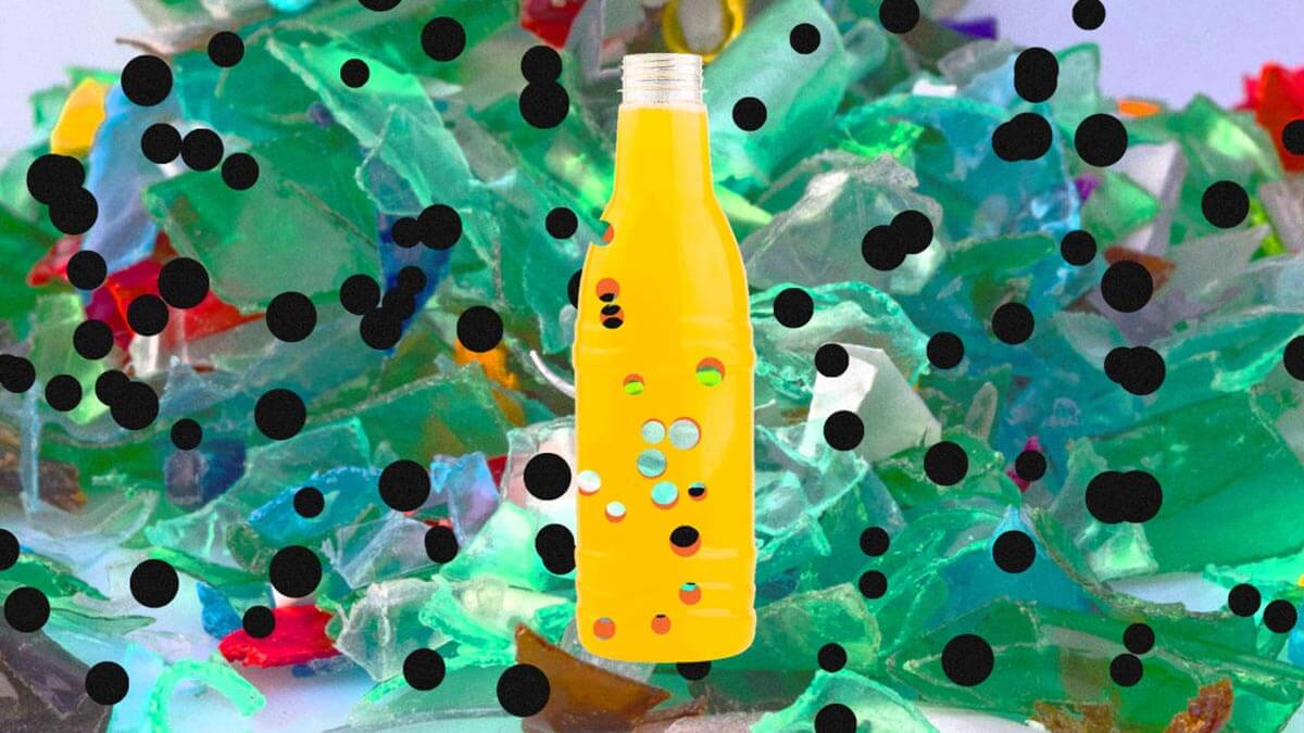 Plastic Eating Enzymes