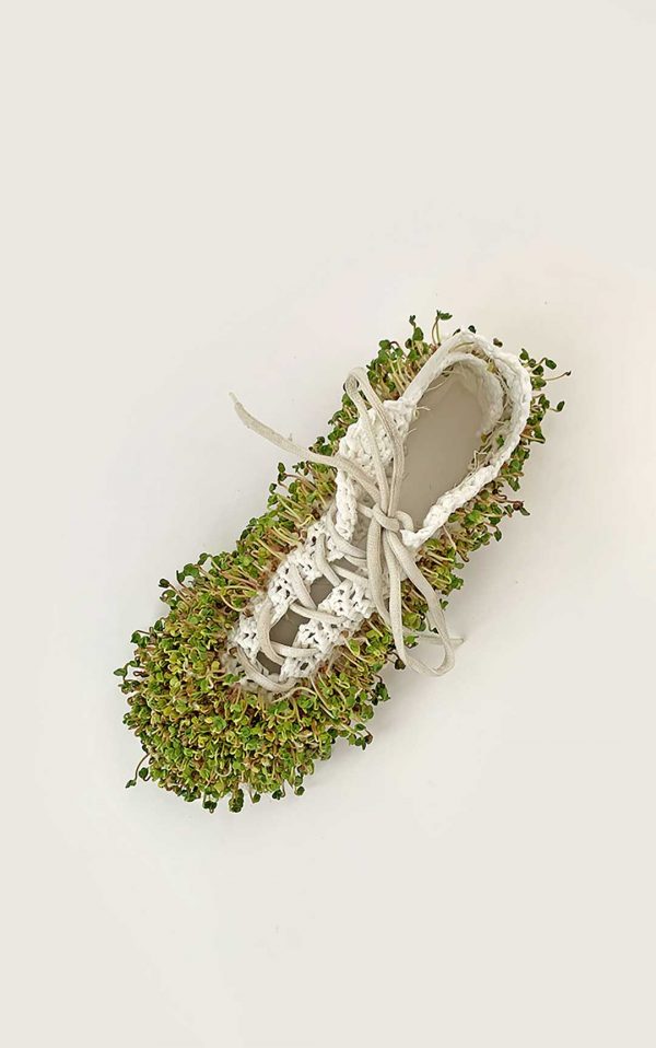 The Microgreen Shoe